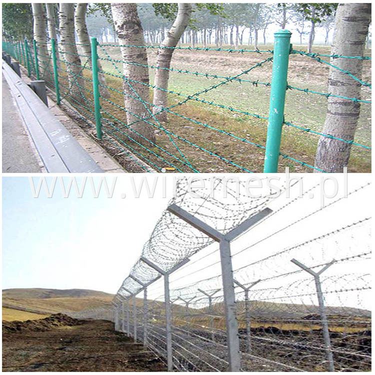 Steel Barbed Wire